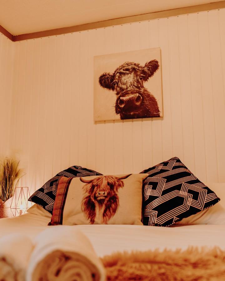 Wooden Cosy Retreat Hunters Quay Villa ดูนูน ภายนอก รูปภาพ